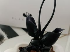 -BLACKSWAN黑天鹅(环球店)