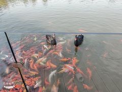 -春晖园度假酒店温泉