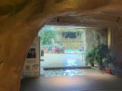 -杭州开元森泊度假乐园