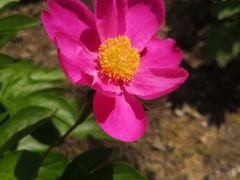 -泰州凤城河风景区-泰山公园