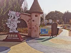 -东平国家森林公园