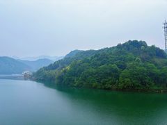 -龙坞茶村