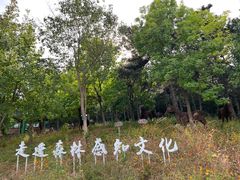 -北京西山国家森林公园