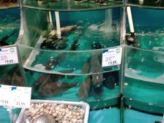 水产区-果蔬好生活超市(双井店)