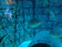 -沈阳海洋探索中心