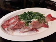 -北京四季酒店·采逸轩