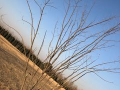 -汉长安城未央宫国家考古遗址公园