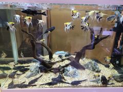 -双季花艺园艺市场(浦东店)