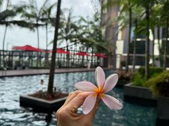 -樟宜机场皇冠假日酒店 （SG Clean） - IHG 旗下酒店