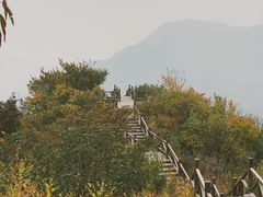 -大岭沟猕猴桃谷风景区