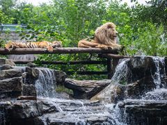 -北京野生动物园