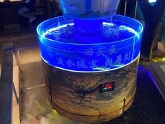 -佬麻雀·剁椒鱼头(京基KK One店)