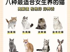 -爱侣宠医·鹦鹉专科·小型哺乳类·异宠专科(灵石路店)