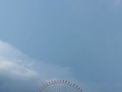-大阪海游馆
