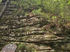 -汤旺河林海奇石景区
