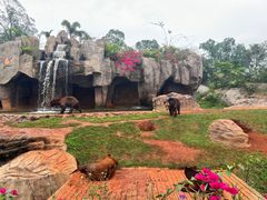 -海南热带野生动植物园