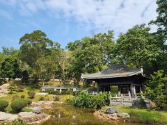 -深圳仙湖植物园