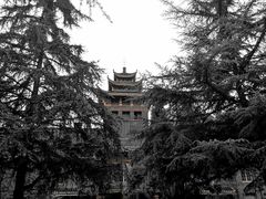 -四川大学(华西校区)