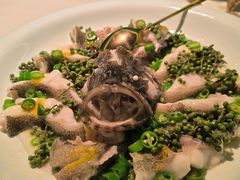 青青椒麻龙胆鱼-CHIC1699远洋私厨