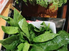 -草原塞蛮羊火锅城(港湾店)