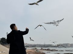 -青岛海滨风景区