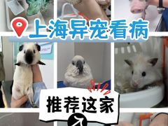 -守诺宠物医院·眼科· 神经外科·爬宠专科(虹口店)