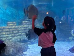 -烟台海昌鲸鲨海洋公园