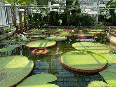 -国家植物园南园