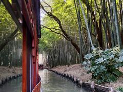 -同里国家湿地公园