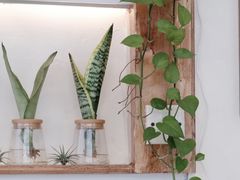 -绿小院(荔湾店)