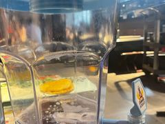 -橦橦小马扎烧烤 (传媒大学店)