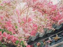 -深圳国际园林花卉博览园