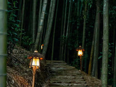 -蜀南竹海景区