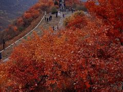 -狼牙山风景区