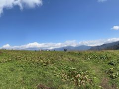 -硗碛藏寨·神木垒景区