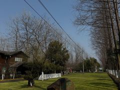 -合肥滨湖国家森林公园