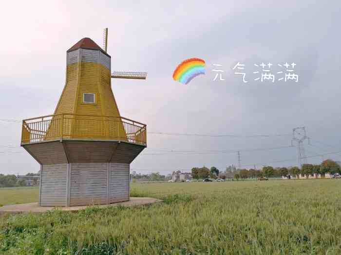 双流籍田镇还是多好耍的有麦田要是有一阵风吹过掀起麦浪就好了看到