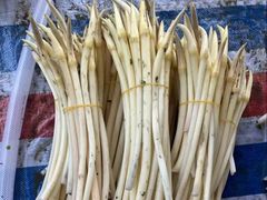 -洪湖生态旅游区