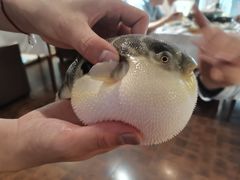 -肆月河豚·新淮扬(金融街店)