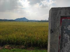 -光明小镇欢乐田园