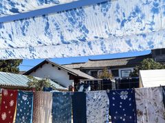 -璞真扎染博物馆