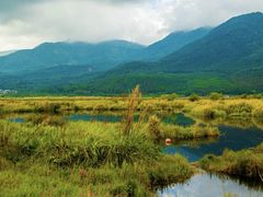 -腾冲北海湿地