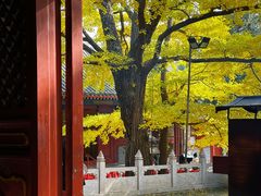 -红螺寺