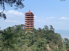 -缙云山景区