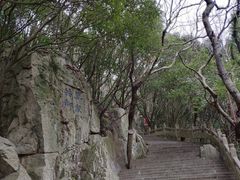 -普陀山慧济禅寺