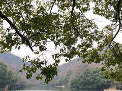 -白马涧龙池景区