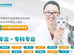 -美联众合动物医院·24h转诊中心