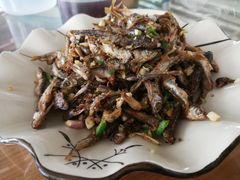 -帆荣农庄