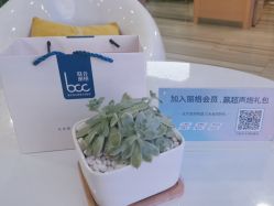 -重庆联合丽格第五医疗美容医院