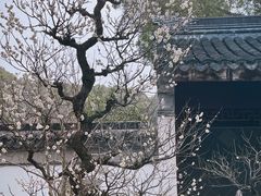 -苏州上方山国家森林公园